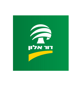 דור אלון